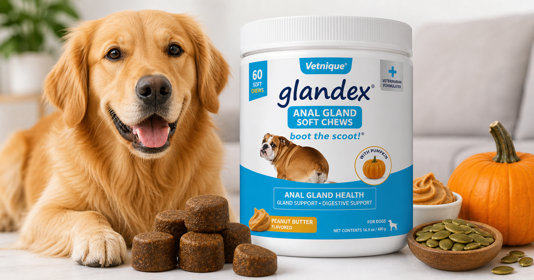Vetnique Glandex Anal Gland Soft Chews (Peanut Butter, 60 Count) Review: Targeted Support for Dogs’ Anal Glands and Digestion